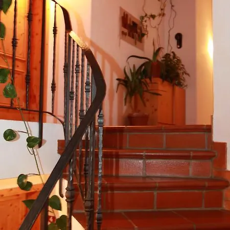 Madlaina Apartment
